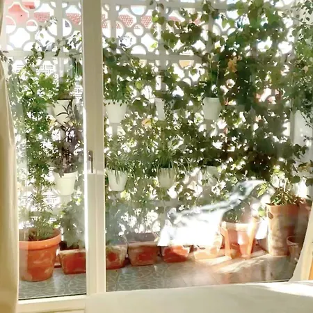 Bed & Breakfast Avec Salle De Bain Privee Et Balcon Vegetal A Lisbonne Amoreiras *