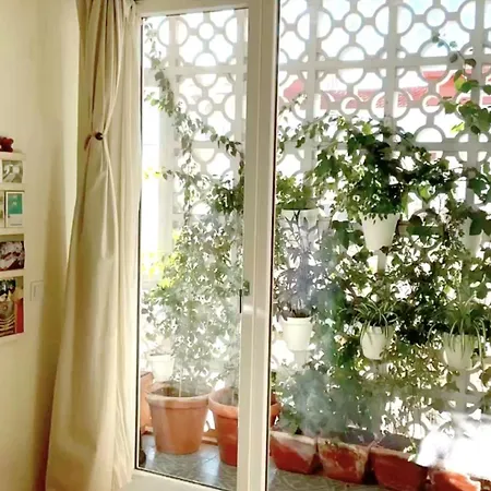 Avec Salle De Bain Privee Et Balcon Vegetal A Lisbonne Amoreiras Bed & Breakfast Lisbon